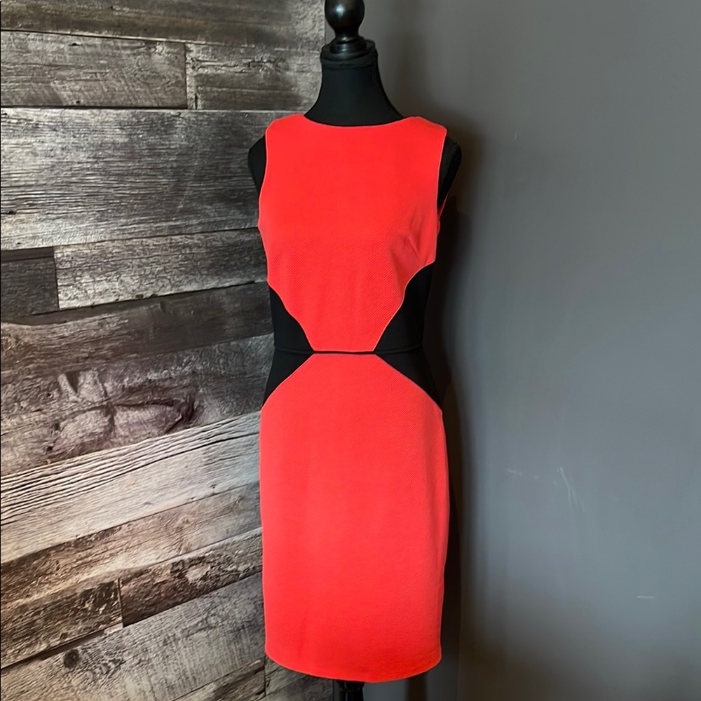 Elegant Red and Black Sleeveless Dress